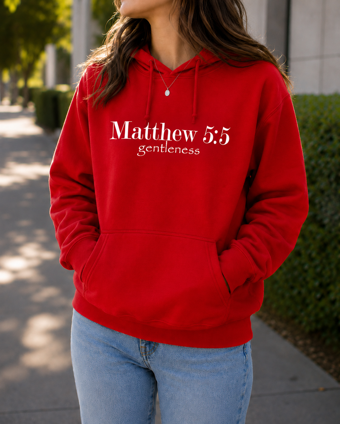 Matthew 5:5 Gentleness Hoodie